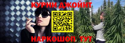 гидра Краснодар
