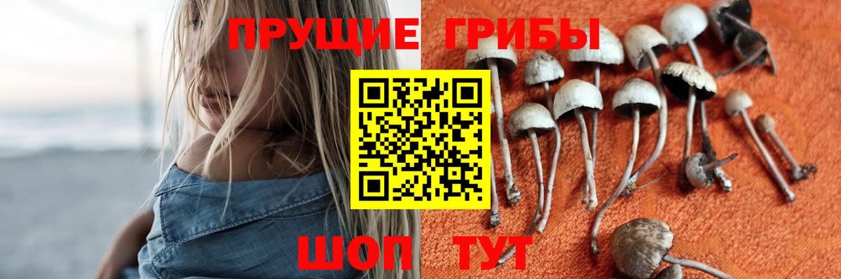 Галлюциногенные грибы мухоморы Коломна